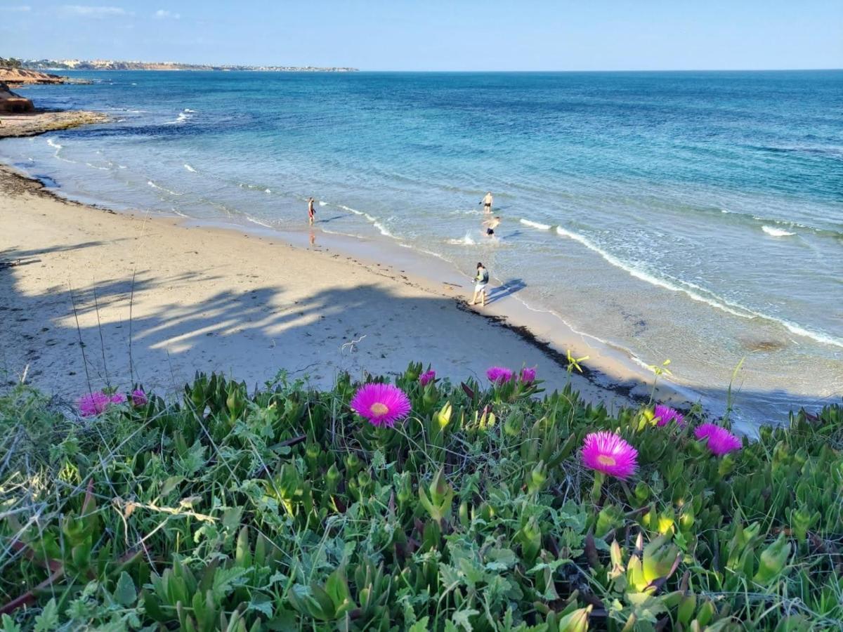 Apartamento Del Nino Campoamor Eksteriør bilde